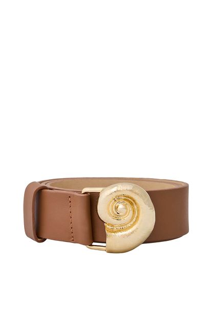 Cinto nautilus camel